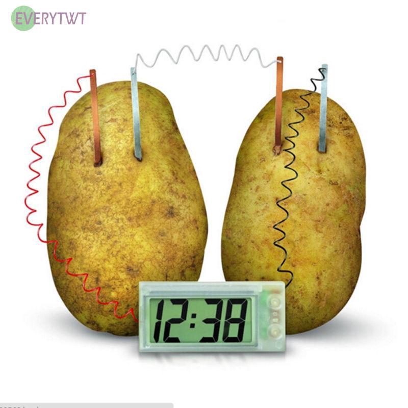 40+ Trend Terbaru Gambar Sketsa Pohon Kentang - Tea And Lead