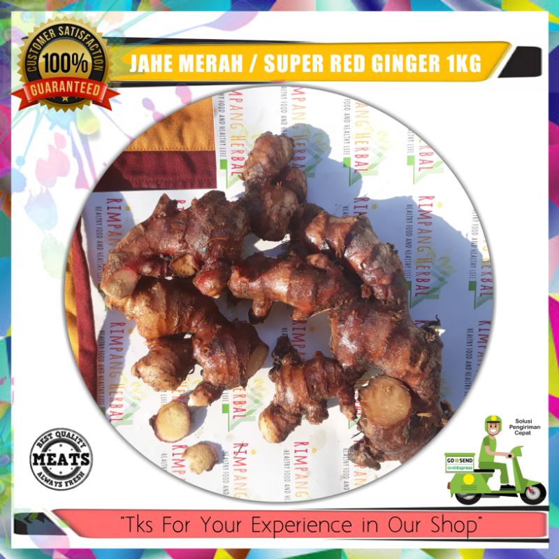 

Jahe Merah Super |1KG | Rimpang Herbal