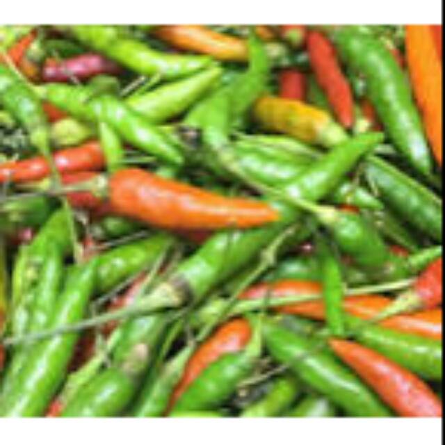 

Cabe rawit 500gram.