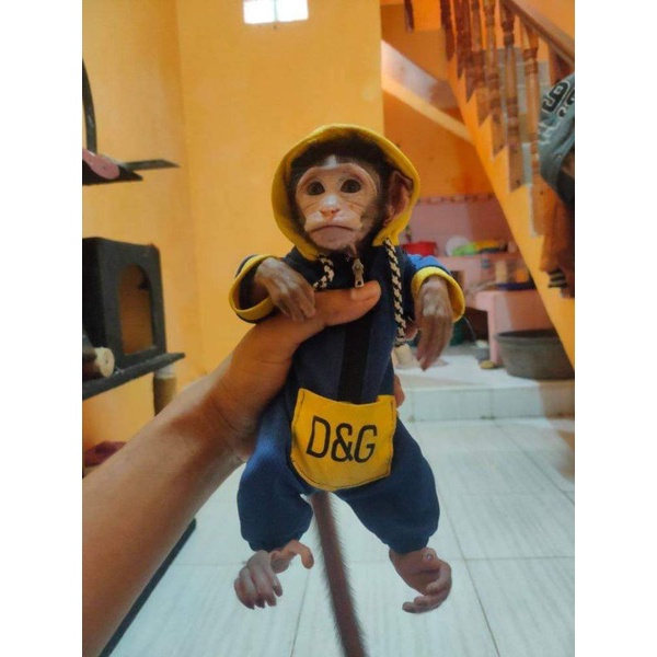 BAJU MONPAI & BERUK BABY & DEWASA.baca diskripsi  ukuran sebelum memesan