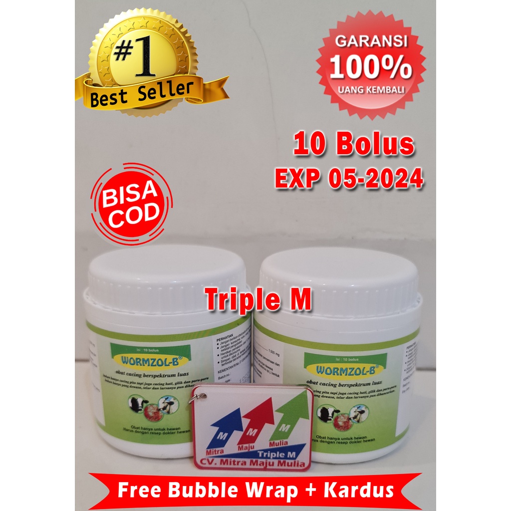 Jual WORMZOL B 10 BOLUS POT - Obat Cacing Cacingan Sapi Kerbau Kuda ...