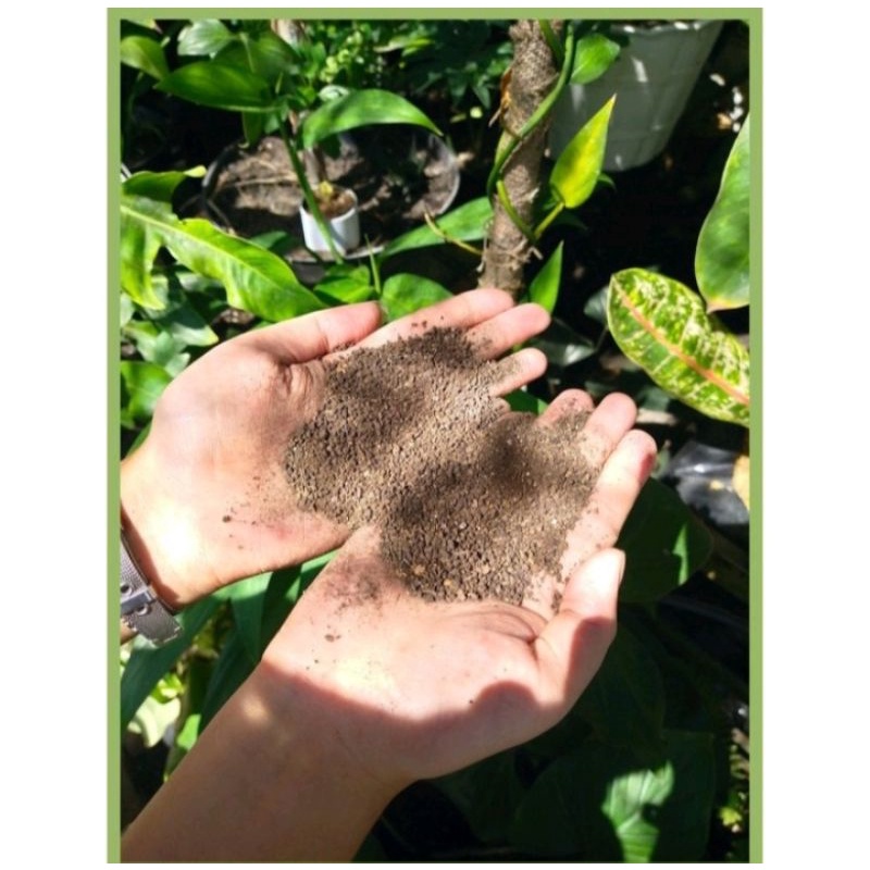 pupuk organik(kascing)