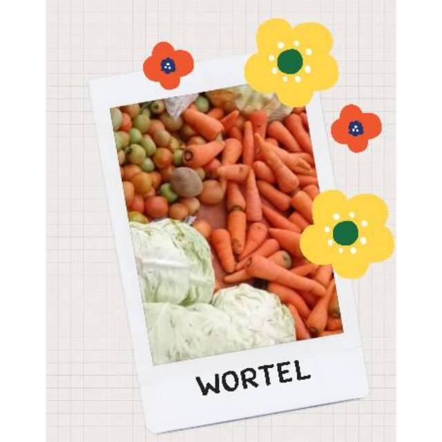 

Wortel segar
