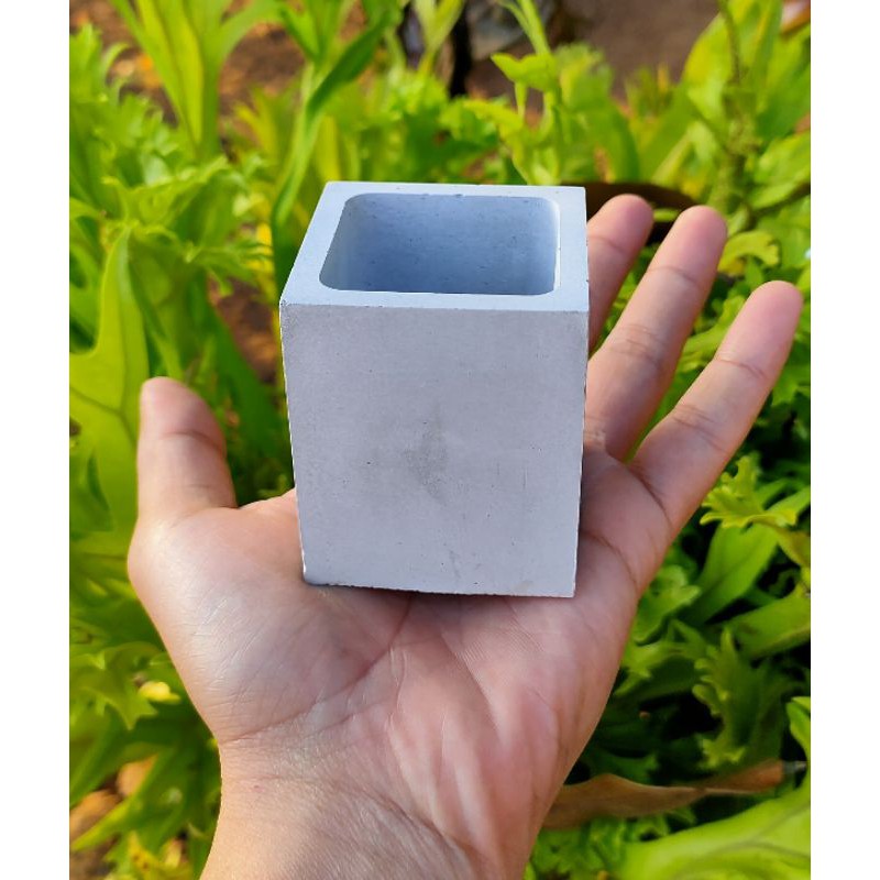 pot semen | kaktus | sukulen | sekulen |  bonsai | pot mame | concrete | pot