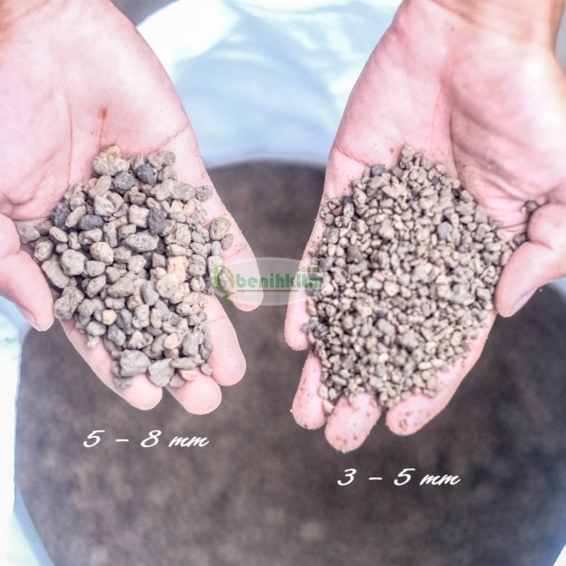 Media Tanam Pumice/Batu Apung 1kg