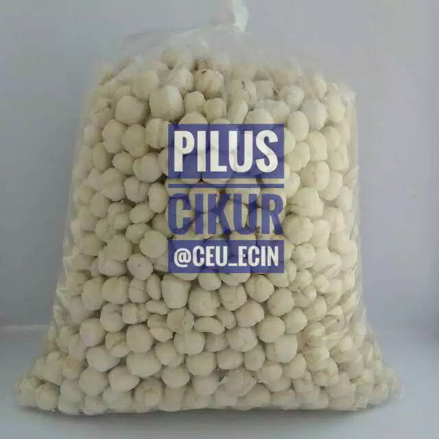 Pilus Cikur 500 gr