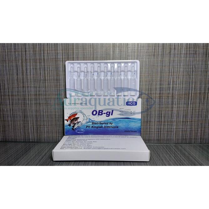 1 BOTOL HCG OB-gl (ISI 1 AMPUL) OBAT PEMIJAHAN IKAN HIAS HORMON adr4q Murah