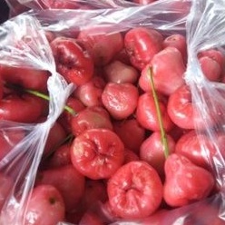 

jambu air