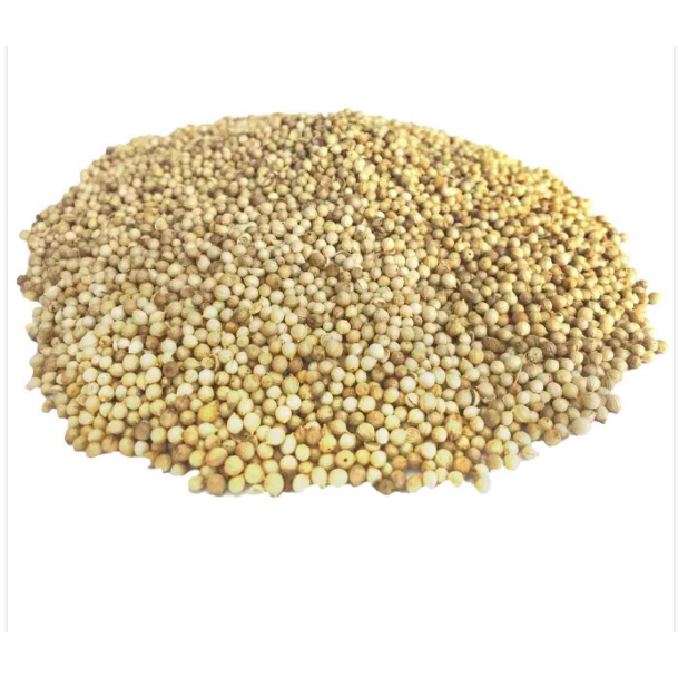 

ketumbar 100g rempah rempah