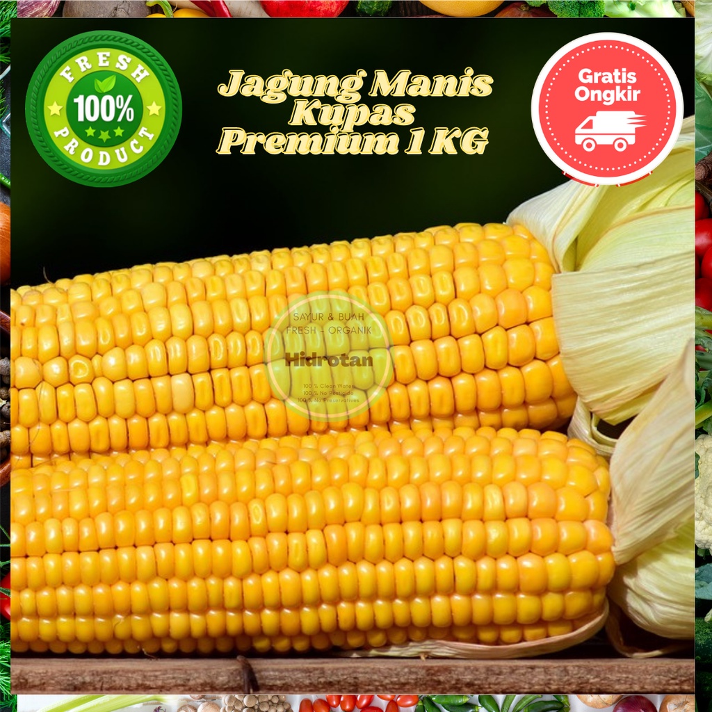 

Jagung Manis 1 kg Kupas - Sayuran Murah | Paket Makanan Segar | Combo Fresh - ( Promo Free Emas )