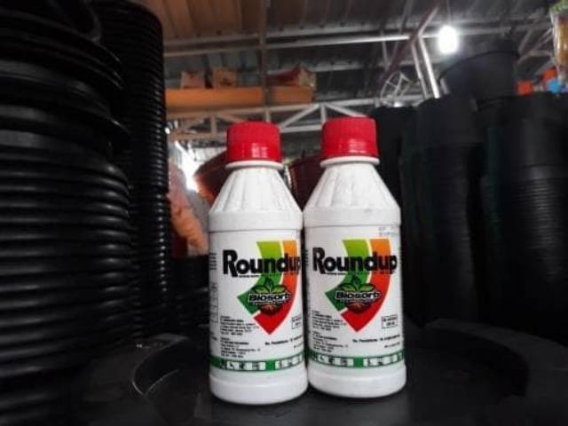 Pembasmi rumput&amp;gulma ROUND UP 486 SL herbisida 200ml - ROUND UP 200 ML