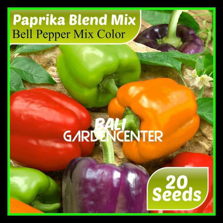 Paket Benih Biji Bibit Buah Paprika 4 Jenis