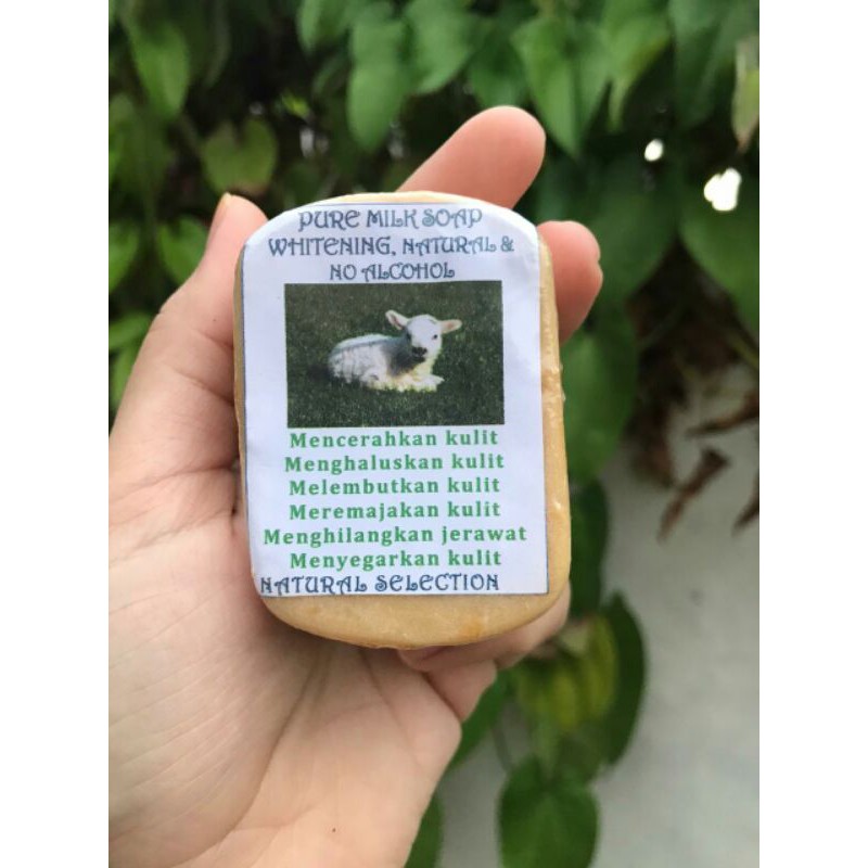 SABUN SUSU KAMBING ASLI / PURE MILK SOAP