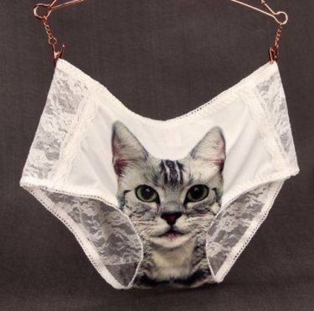 Celana dalam panties panty cd motif kucing kitten pussy 3d dengan sexy lace