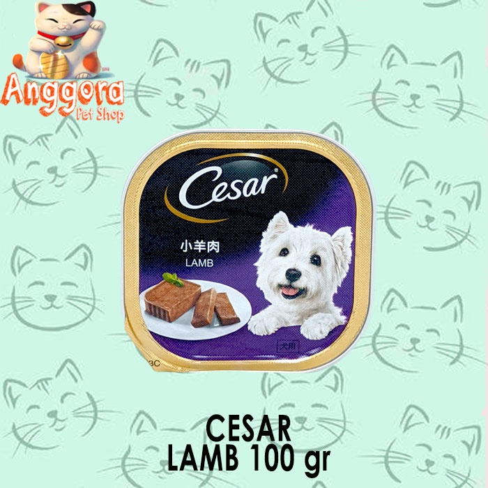 Makanan Anjing Cesar all variant 100 gr