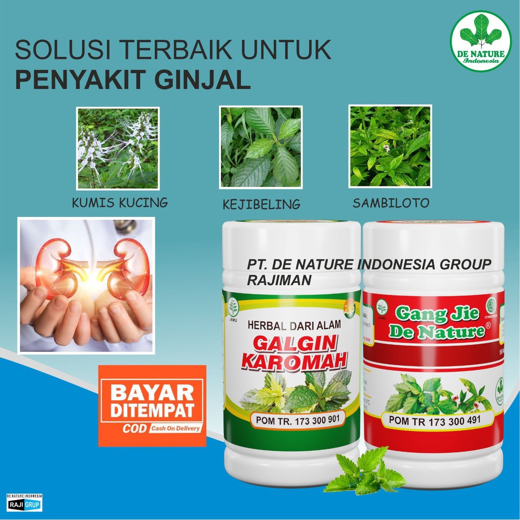 OBAT BATU GINJAL DE NATURE
