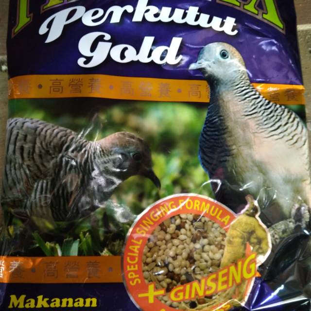 Umpan perkutut Phoenix perkutut gold