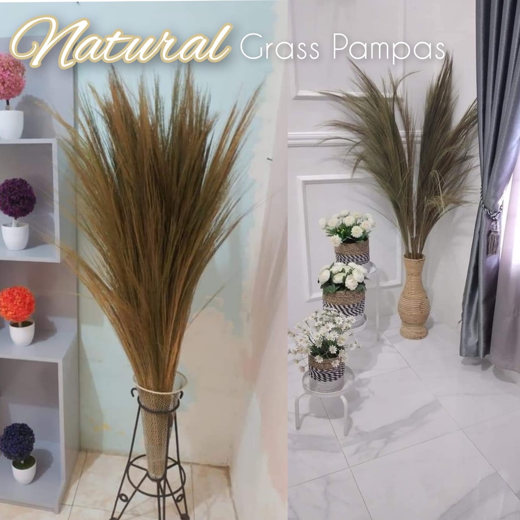 [TERMURAH] Pampas, Dekorasi, Hiasan, Daun Kering, Dekorasi Rumah