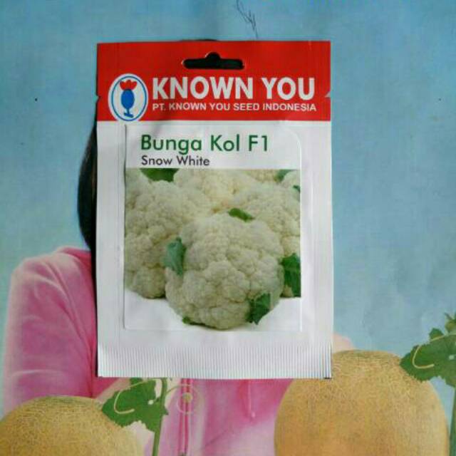 benih kol bunga putih snow white SP 180 Biji