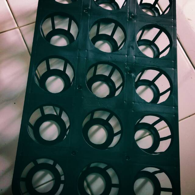 Tray orchid/anggrek 15