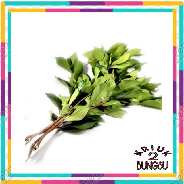 

Daun salam 1 ikat
