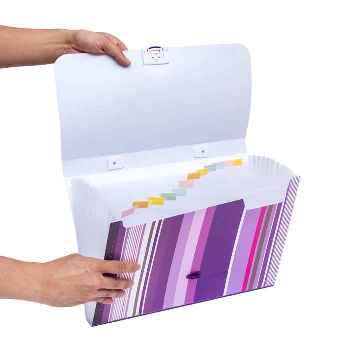 

Bantex PP Fancy Stripe Expanding File 13 Pocket Folio ref 3608 21
