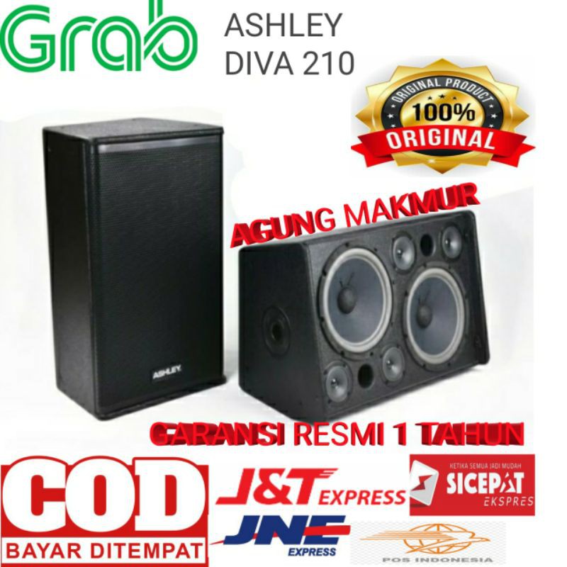 Speaker Pasif Ashley Diva 210 Original Passive Ashley DIVA210 - 10 inch