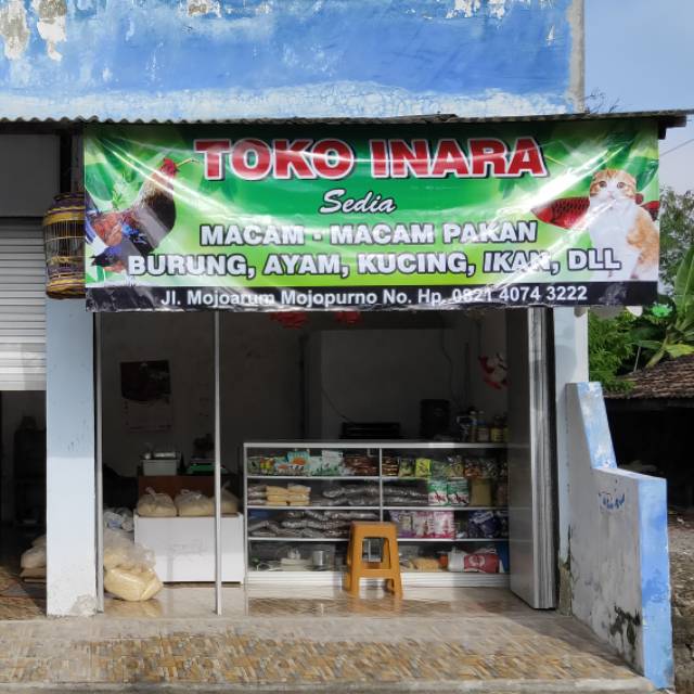 Contoh Spanduk Jual Pakan Ayam Desain Spanduk Kreatif