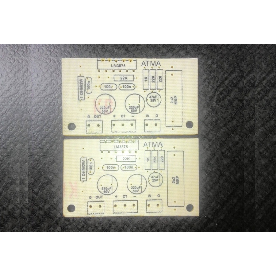 2 PCB Gainclone Gaincard LM3875 untuk merakit Audiophile High End Audio Power Amplifier Chip Amp