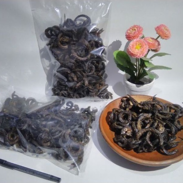 

BELUT GORENG BOYOLALI 1 KG TANPA TEPUNG