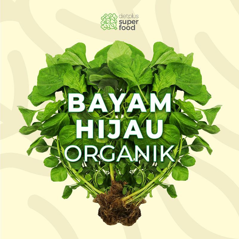 

Sayur Bayam Hijau Organik Segar 250 gr / 0.25 kg Dietplus Superfood