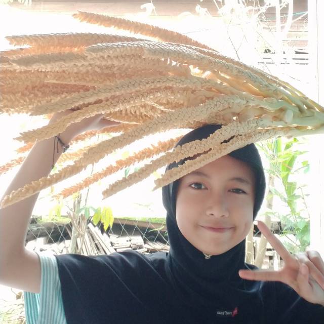 nurgina15