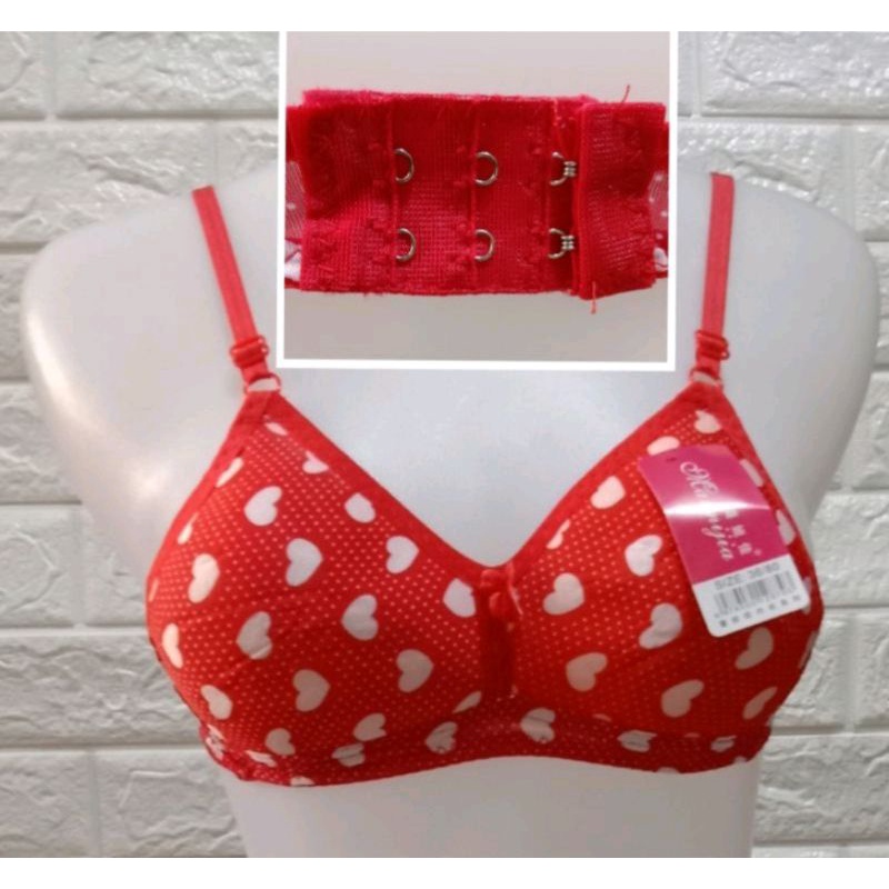 bh/bra Abg motif MURAH (R²)