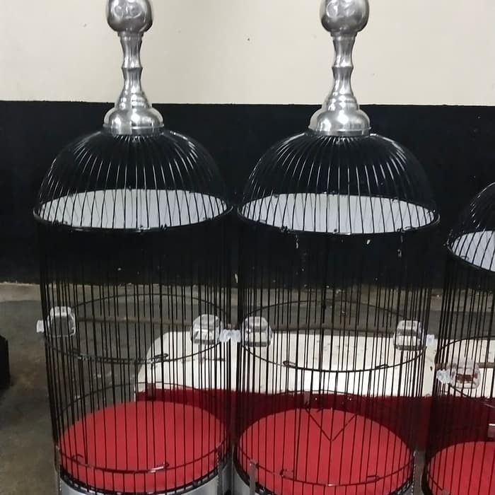 Sangkar Burung Pleci Ers6990 Shopee Indonesia