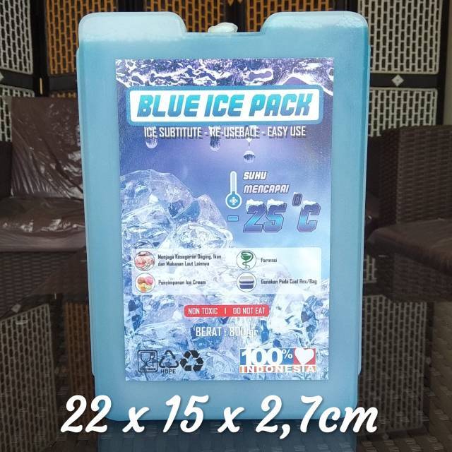 Ice Pack Sedang Blue Ice Pack Medium - Pengganti Dry Ice