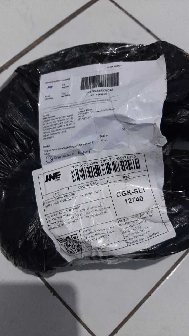 Free Ongkir Pengusir Tikus Alami Buah Simpalak Lebih Alami Dr Riddex Diskon Murah