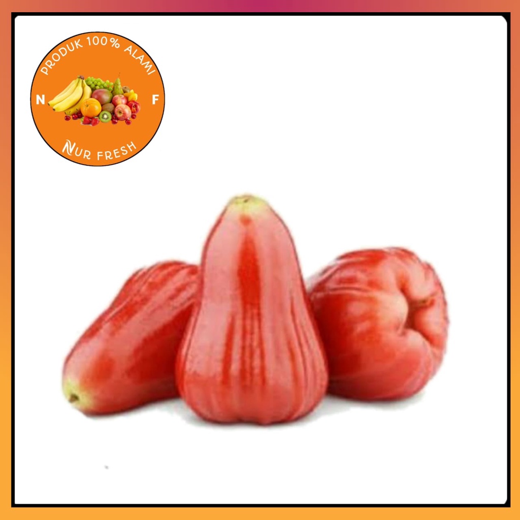 

Buah Jambu Air Jumbo Citra Grade A super Manis