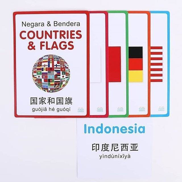 PROMO MURAH Flash card gambar real / flash card uk. besar