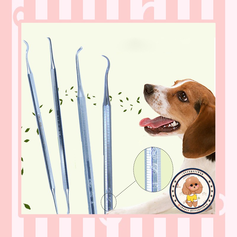 Alat Pembersih Karang Gigi Stainless Untuk Anjing Dan Kucing Indonesia