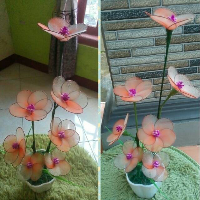 

Bunga setoking murah