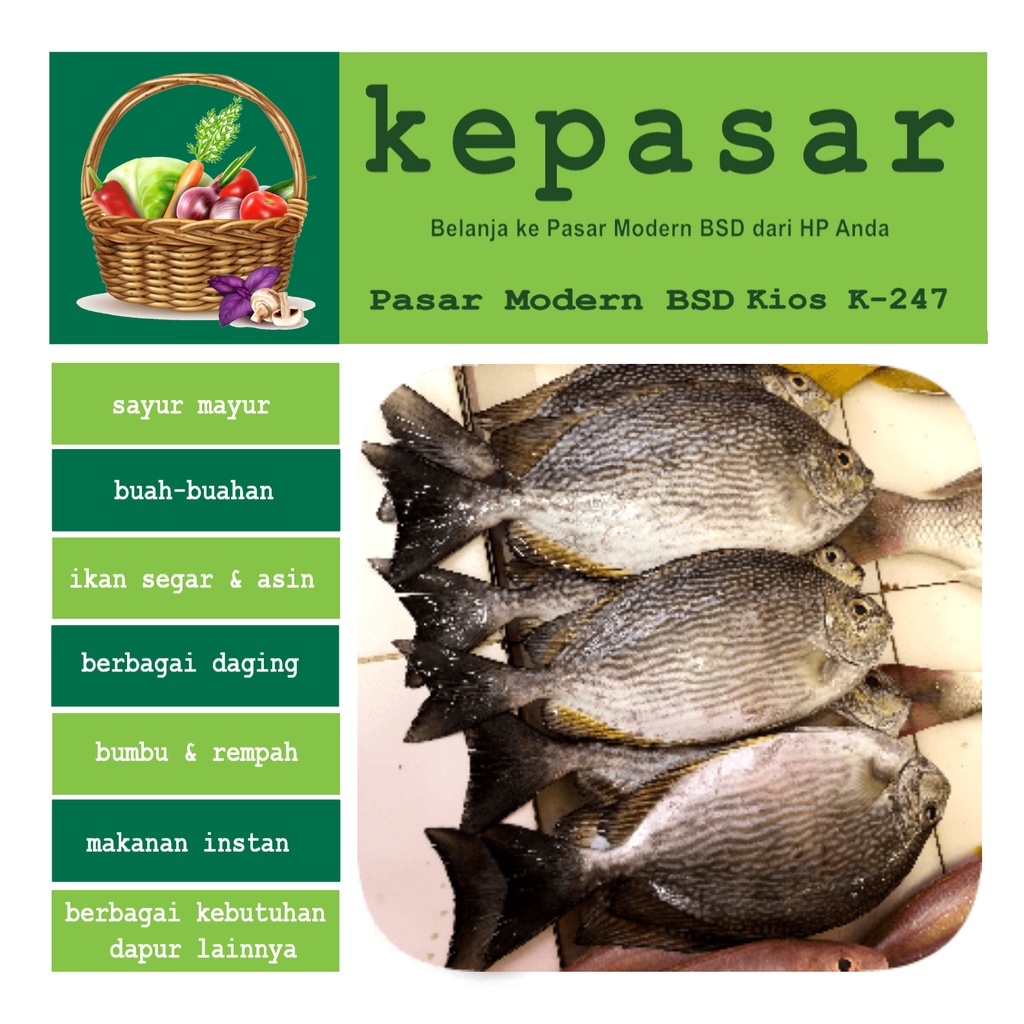 

Ikan Baronang 500 g