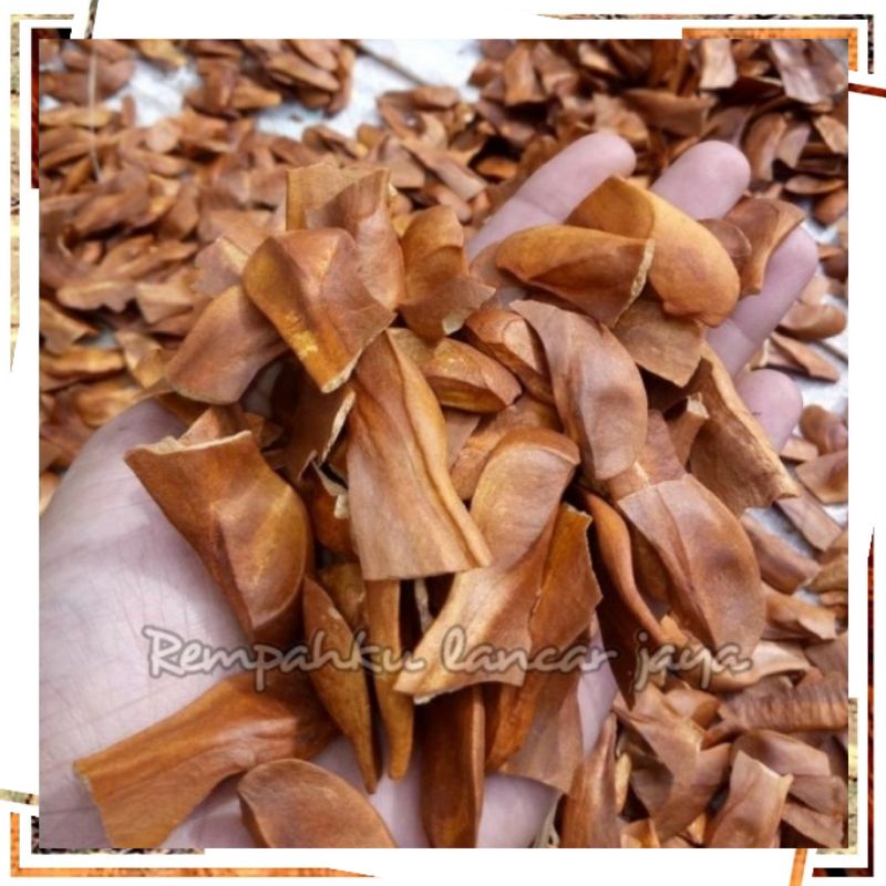 RL Biji Mahoni kering 1kg Murni SUPER