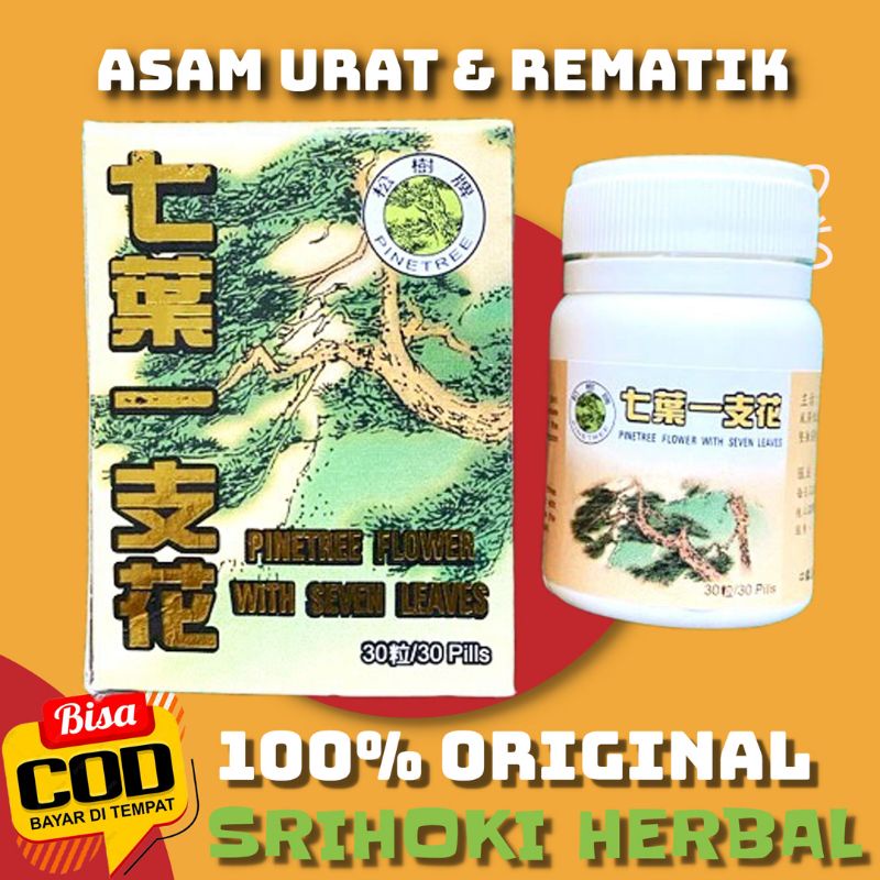 Original pinetree flower with seven leave - Obat Herbal Asam urat dan rematik Tradisional Alami Cina