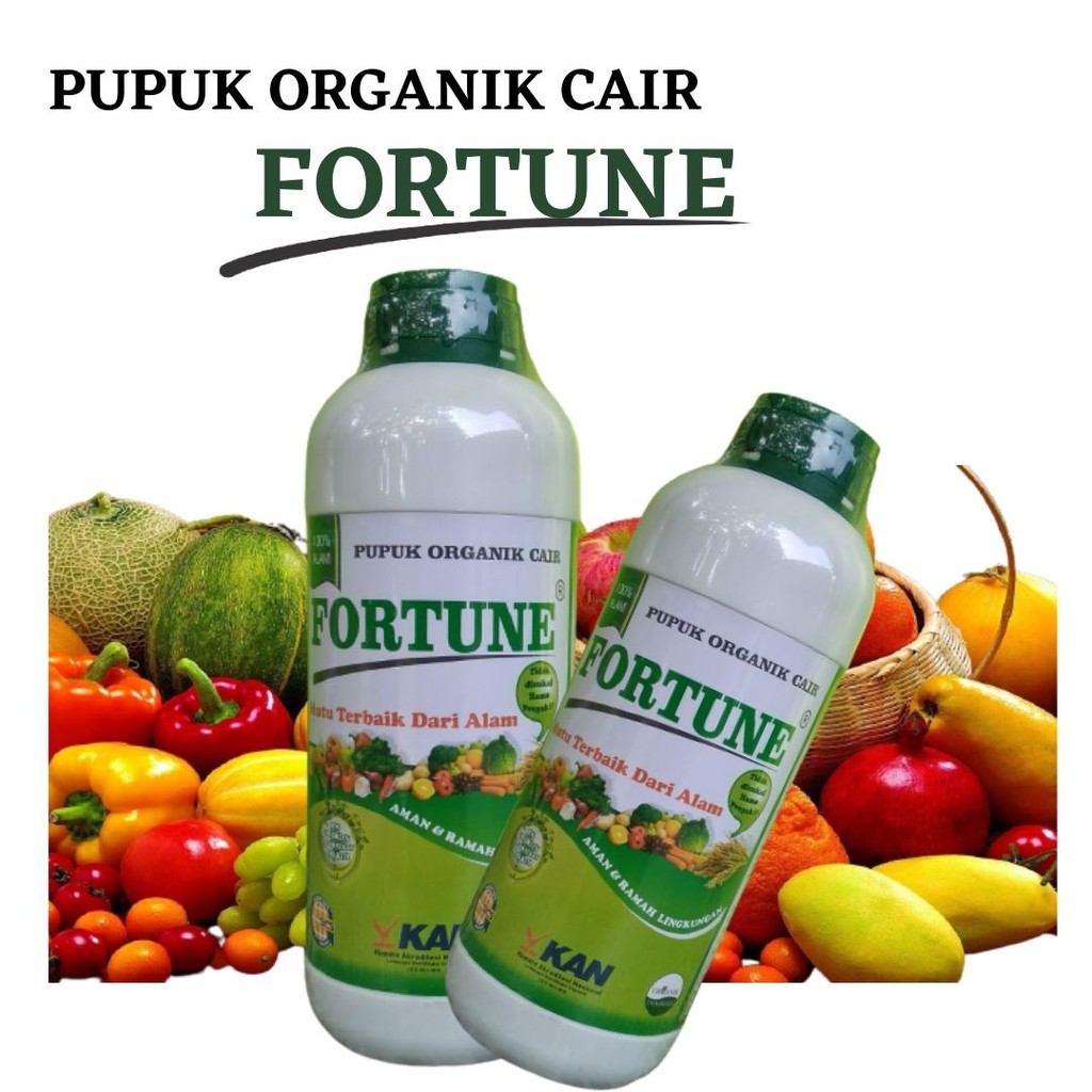 BISA COD Pupuk Tanaman Sawit "FORTUNE", Pupuk Keleap Sawit Terbaik