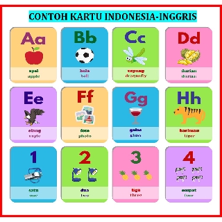 Jual GIANT JUMBO ENGLISH BAHASA INGGRIS FLASH CARDS FLASHCARD ANAK ...