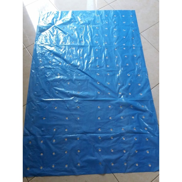 Plastik Brongsong pisang Blongsong pisang Cavendish