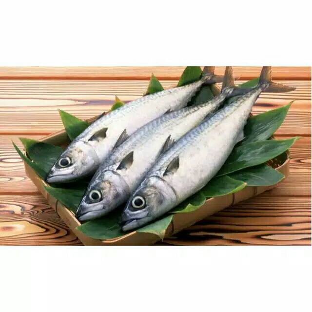 Ikan salem segar 500 grm/ makanan laut/ pasar segar Bandung | Shopee