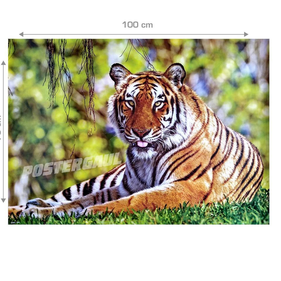 Gambar Ragam Hias Fauna Harimau
