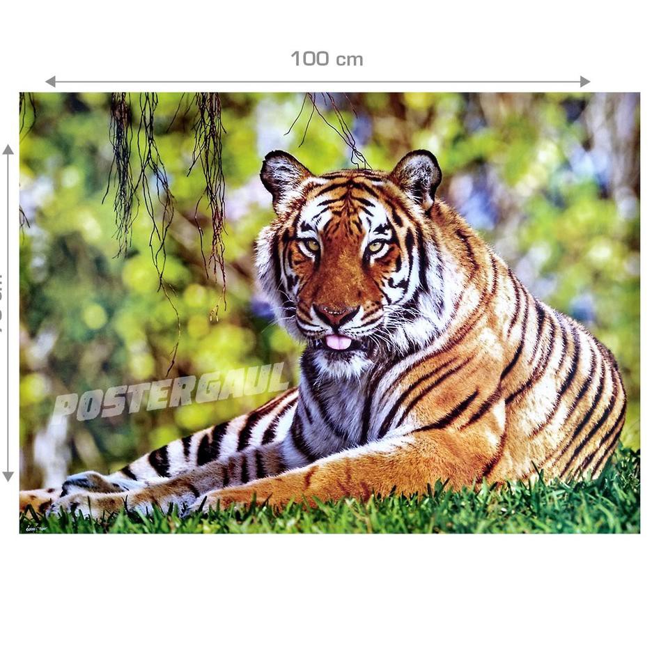 Gambar Ragam Hias Fauna Harimau Gambar Ragam Hias Fauna Harimau