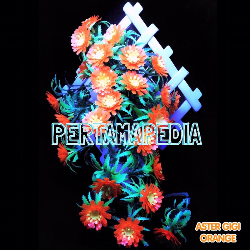C5 Bunga Aster Gigi/Bunga Plastik/Daun Plastik/Rumput Plastik/Daun Rambat Plastik/Bunga Dekorasi-6
